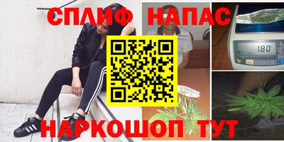 спайс Будённовск