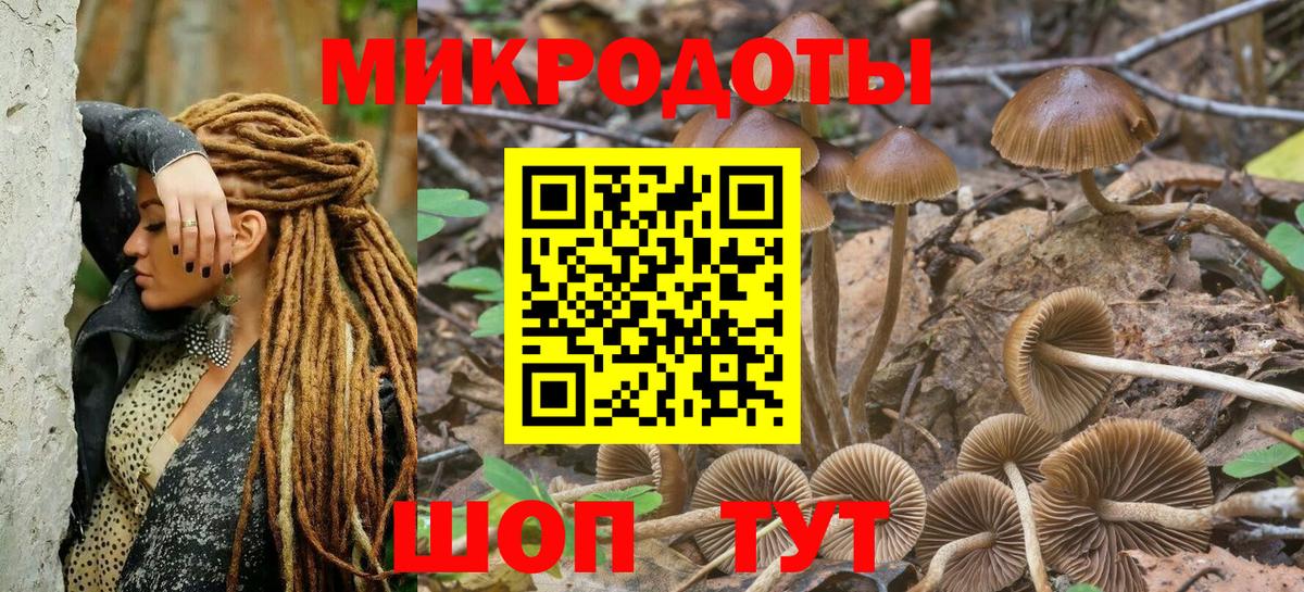 Галлюциногенные грибы MAGIC MUSHROOMS Нижнекамск