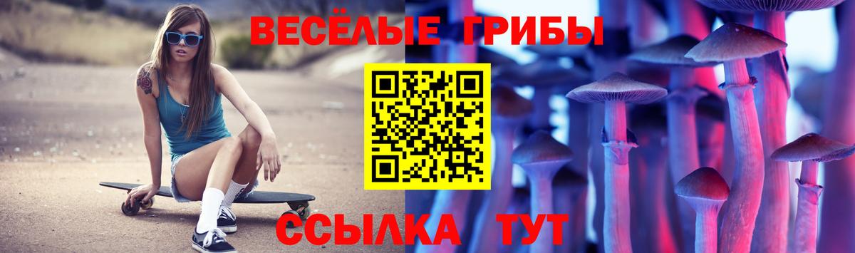 Нижнекамск  Псилоцибиновые грибы мицелий  Вход с VPN 